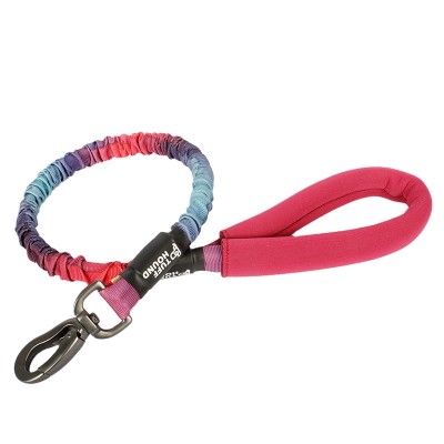 Amazon hot selling high quality mountain rope rainbow dog leash snap hook