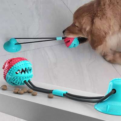 Dog TPR toy ball molar bite suction cup Multifunction pet dog toy chew rubber suction chew